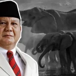 Prabowo Hibahkan 20.000 Hektare Lahan di Aceh untuk Konservasi Gajah Sumatra