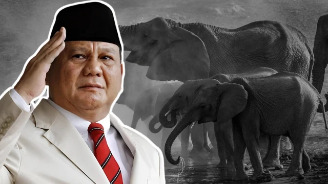 Prabowo Hibahkan 20.000 Hektare Lahan di Aceh untuk Konservasi Gajah Sumatra