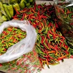Hingga Di Sebut Emas Merah Harga Cabe Rawit Meroket