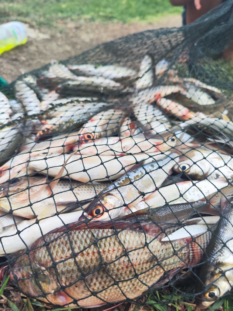 Bintingan Menjadi Spot Mancing Favorit di Pasuruan